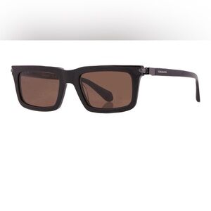 Salvatore Ferragamo Brown Sunglasses (NWT)